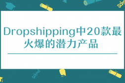 Dropshipping中20款最火爆的潜力产品