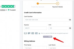 用Payoneer免费签发的香港银行账户零成本开通Stripe独立站收款工具完整实操