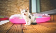 如何使用PR(Press release) 来做海外推广?